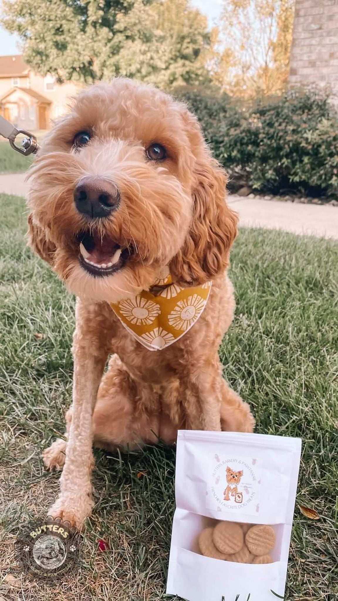 All Natural Peanut Butter Cookies Dog Treats