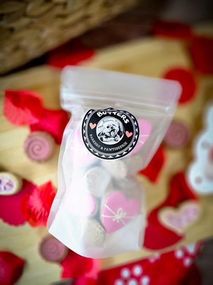 Candy Heart Valentine Dog Treat Gift Bag
