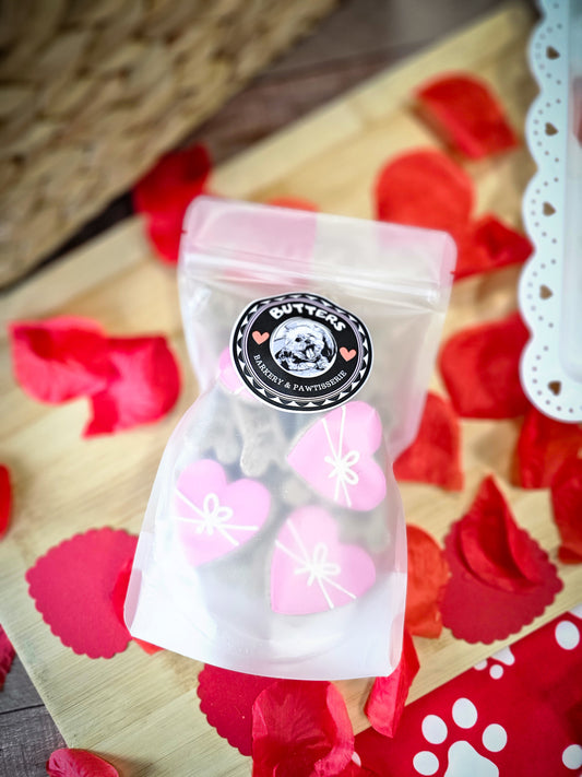Candy Heart Valentine Dog Treat Gift Bag