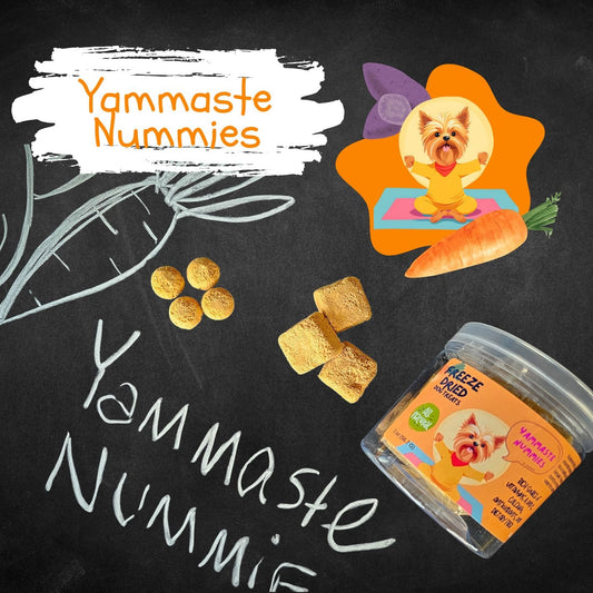 Yammaste Nummies Qty 3 Jars Wholesale